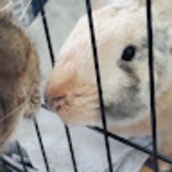 Meet your Posher, Emmalyn - Picture 1 of 1